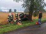 Pijany kierowca wylądował na drzewie. Cztery osoby w szpitalu