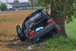 Pijany kierowca wylądował na drzewie. Cztery osoby w szpitalu