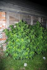 27-latek wpadł ze znaczną ilością narkotyków