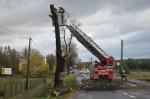 Dobrzeń Wielki: Drzewo przewróciło się na jadący pojazd, nie żyje kierowca.
