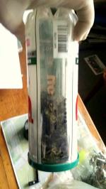 Susz roślinny na stole. Obok woreczki strunowe.