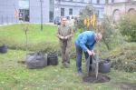 6 wiśni posadzono na Placu Wolności w Opolu.