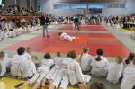 Opolski Integracyjny Festiwal Judo - ponad 300 juniorów walczyło na matach