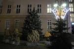 Opole pięknie przystrojone na Święta Bożego Narodzenia