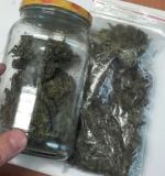 Zatrzymani za uprawę i posiadanie narkotyków