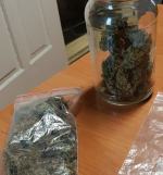 Zatrzymani za uprawę i posiadanie narkotyków