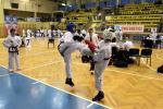 50 medali Opolan na Mistrzostwach Dolnego Śląska w Taekwon-do