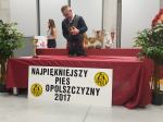 Najpiękniejszy pies Opolszczyzny wybrany