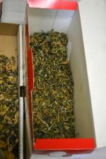 W jednym czasie weszli do kilkudziesięciu mieszkań