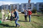 Opolanie wspólnie sadzą drzewa przy kąpielisku Bolko