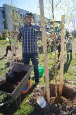 Opolanie wspólnie sadzą drzewa przy kąpielisku Bolko