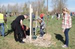 Opolanie wspólnie sadzą drzewa przy kąpielisku Bolko