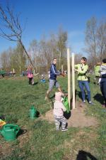 Opolanie wspólnie sadzą drzewa przy kąpielisku Bolko