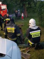 Młode liski utknęły w rowie melioracyjnym. Nocna akcja TOZ i strażaków