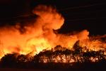 Pożar składowiska śmieci w Dąbrowie Niemodlińskiej. W akcji ponad 30 jednostek straży