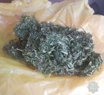 41-latek uprawiał konopie za domem