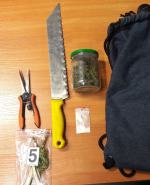 Zlikwidowana plantacja i 7 zarzutów