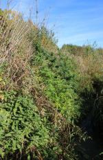 Narkotykami chciał spłacić kredyt