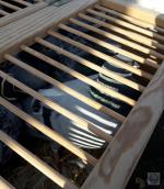 43-latek podejrzany o kradzież gołębi wartych ponad 500000 zł