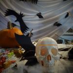 W Opolu straszy czyli Piastowskie Dziady