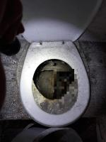 Kobieta utopiła 5 psów w szambie. Tłumaczyła, że topiła "tylko suki"