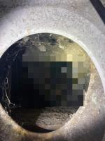 Kobieta utopiła 5 psów w szambie. Tłumaczyła, że topiła "tylko suki"