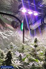 Opolskie CBŚP walczy z przestępczością narkotykową w całym kraju