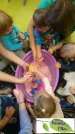 Kraina Elfów- żłobek o profilu ekologicznym przygotował promocję dla nowoprzyjętych dzieci