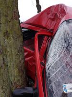 21-latek nie opanował pojazdu i uderzył w drzewo