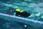 Na krytej pływalni Wodna Nuta rywalizują nurkowie