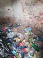 Odpowie za znęcanie się nad małym psem