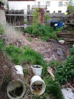 Horror w powiecie prudnickim. Zwierzęta z głodu zjadały siebie nawzajem