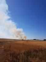 Trwa dogaszanie pożaru zboża przy obwodnicy północnej w Opolu