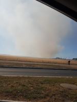 Trwa dogaszanie pożaru zboża przy obwodnicy północnej w Opolu