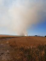 Trwa dogaszanie pożaru zboża przy obwodnicy północnej w Opolu