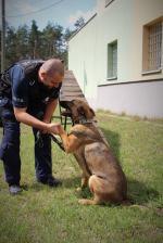 "Furia" - nowy czworonożny funkcjonariusz 