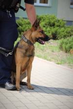 "Furia" - nowy czworonożny funkcjonariusz 