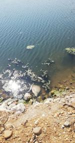 WOPR-owcy całą noc łowili kolejne śnięte ryby z Nysy Kłodzkiej