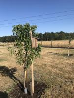 Bezinteresownie upiększają swoje miejscowości