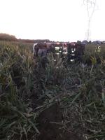 Dachowanie busa w Zdzieszowicach, kierowca wypadł przez okno w drzwiach