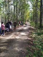 300 osób wzięło udział w Biegu Grudzickim