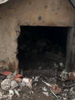 Człowiek zgotował mu niewyobrażalny ból i cierpienie. Wolontariusze TOZ interweniują