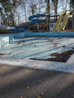 Ktoś urządził sobie z gawrona żywy cel. "To głupota i bestialstwo"