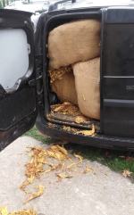 Obywatel Śląska przewoził nielegalnie prawie pół tony suszu tytoniowego 