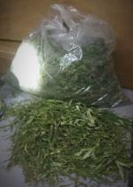 Blisko 8 kilogramów narkotyków trzymał w mieszkaniu, działce, garażu