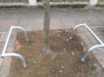 Metalowe barierki przy drzewach na Pasiece. Zdania mieszkańców są podzielone