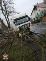 Kierowca twierdzi, że drzewo spadło samo. Policjanci nie wiedza jak zakwalifikować zdarzenie