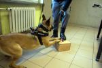 Narkotyki miały być dostarczone więźniom w bateriach