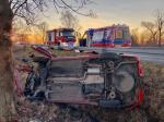 Kierująca fordem zjechała z drogi i uderzyła w drzewo
