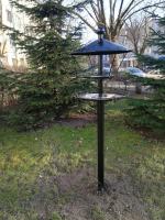 Miasto dba o małe drapieżniki i ptactwo w Opolu